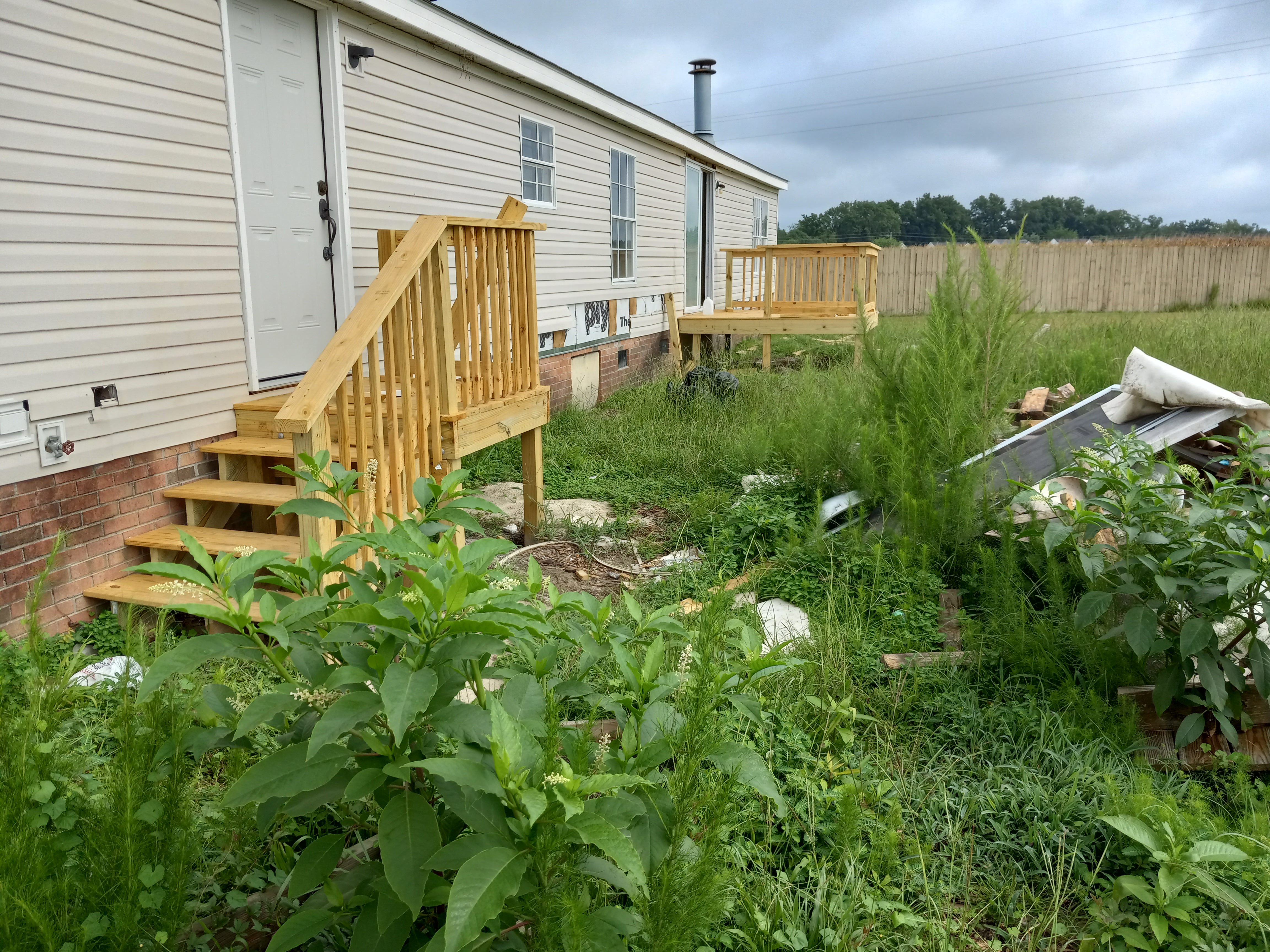 Overgrown yard and debris before exterior cleanup
