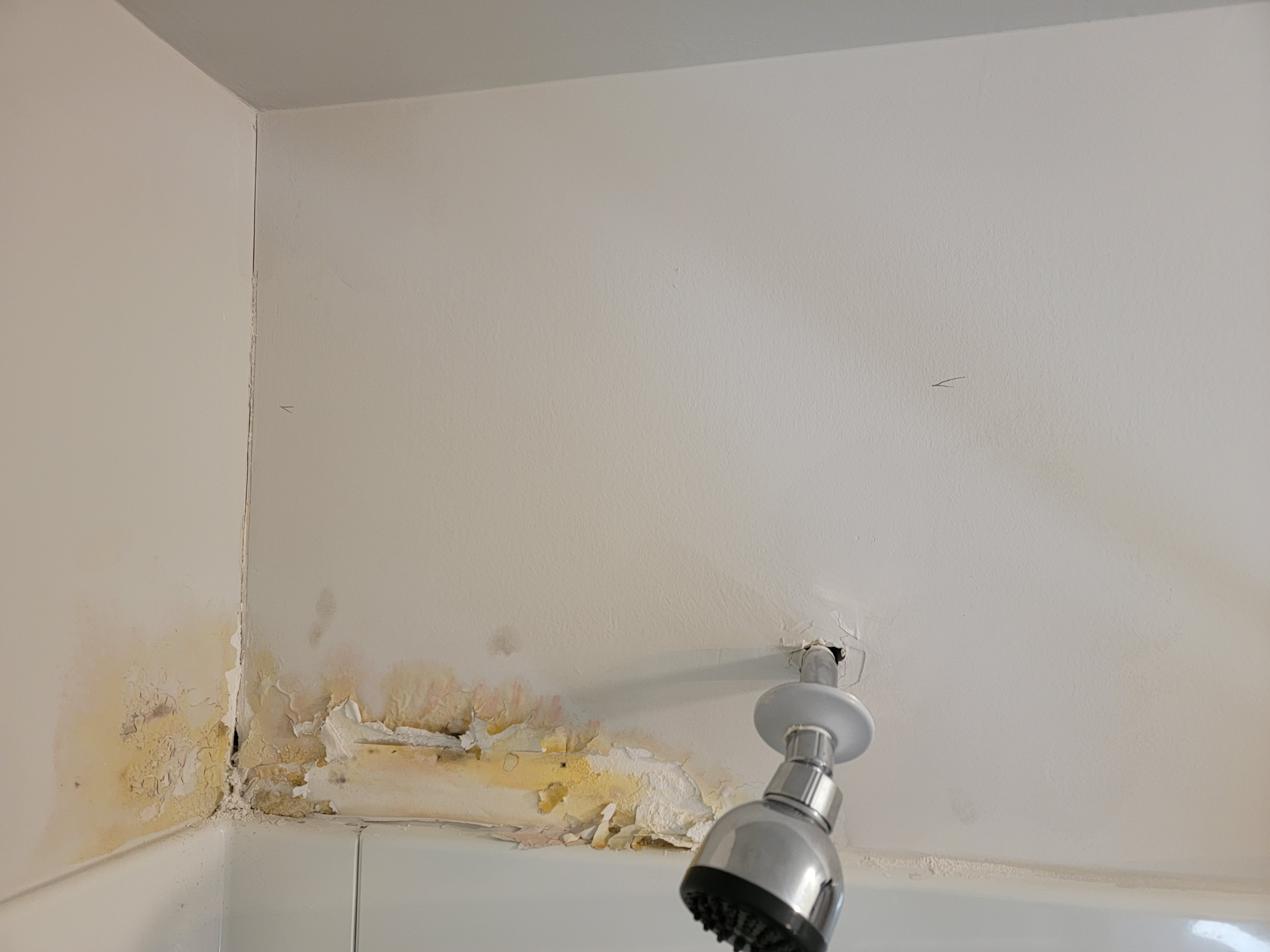Water-damaged bathroom wall before repair